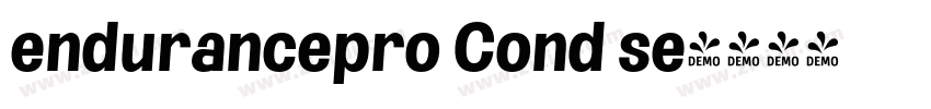 endurancepro Cond se字体转换